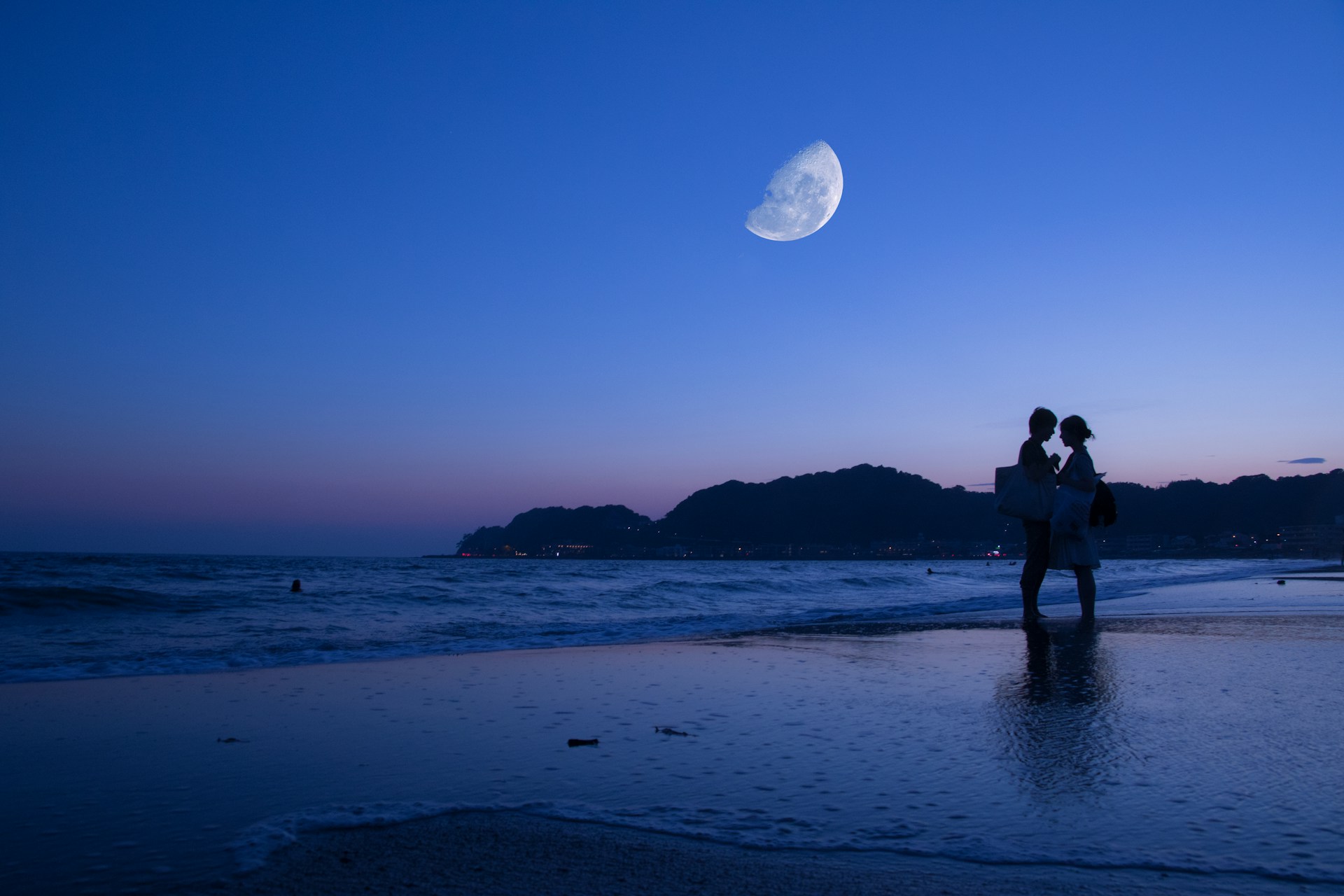 National Park under the full moon