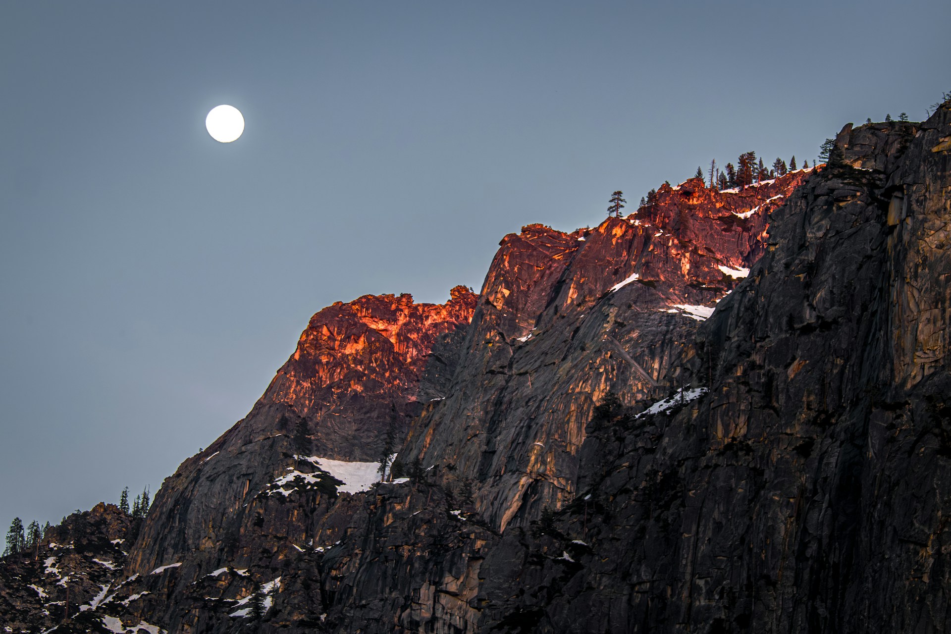 National Park under the full moon